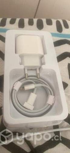 Cargador iPhone original