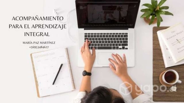 Programas de estudio integrales