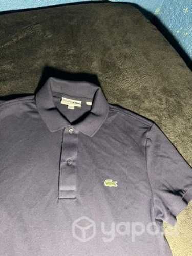 Polera lacoste