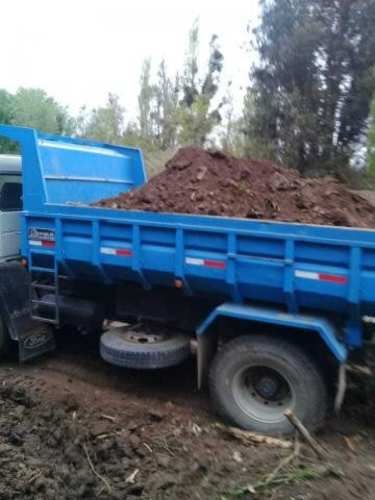 Tolva Ford cargo 1317