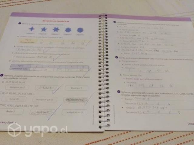 Savia, SM, 5 básico, Lenguaje, Matemática y otros