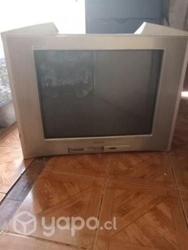 TV Sony 29 perfectas condiciones con control remot