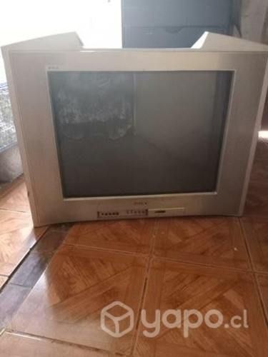 TV Sony 29 perfectas condiciones con control remot