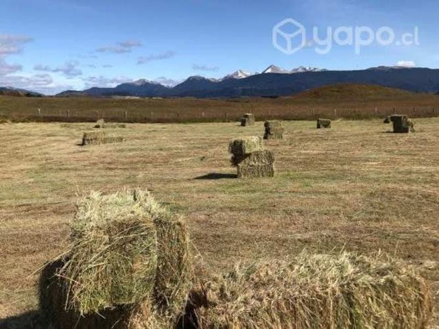 Fardos de pasto con alfalfa