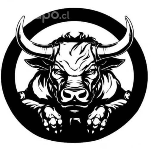 Servicio frenos, rectificación discos Bulls Garage