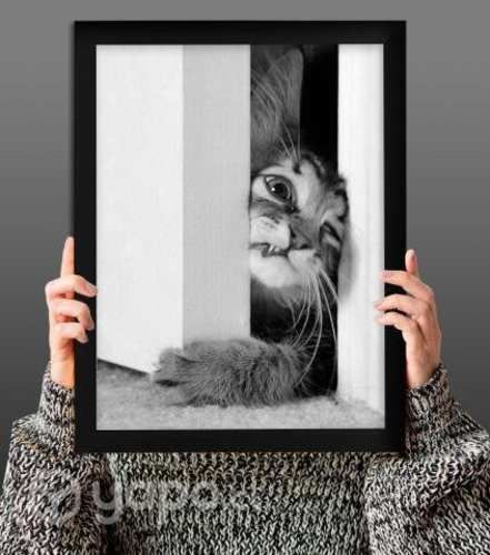 CUADROS DE GATITOS 34x45