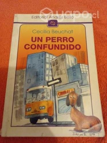 Un perro confundido