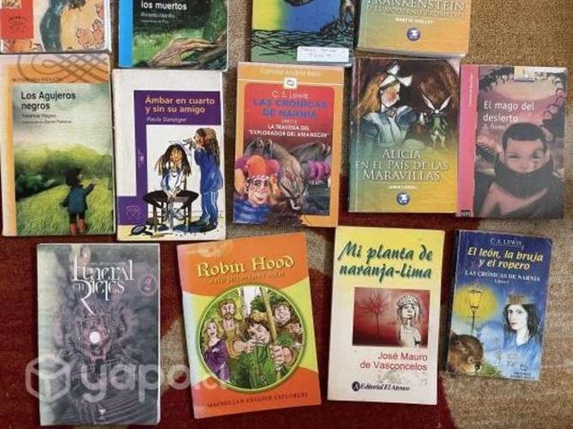 Libros lectura complementaria