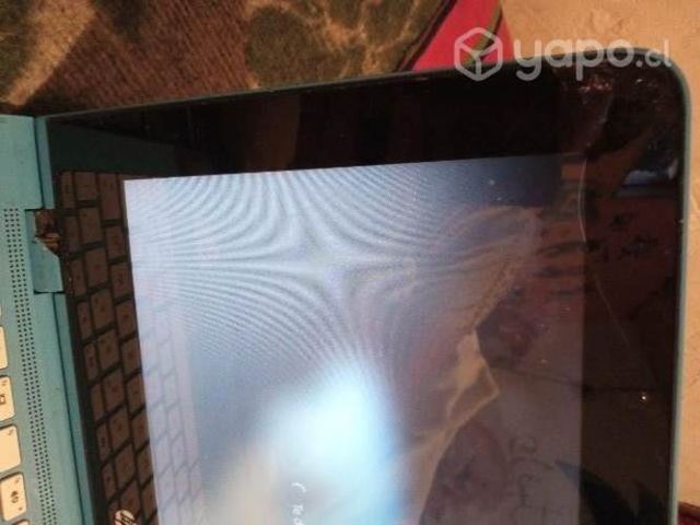 Notebook con detalle