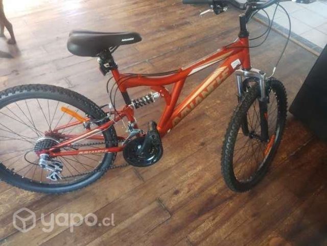 Bicicleta aro 24