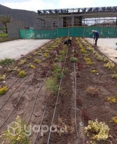 Instalaciones de riego automatico