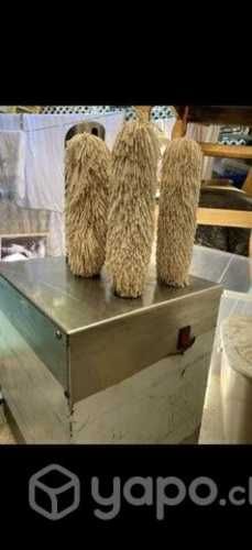 Pulidora y secadora de copas y vasos