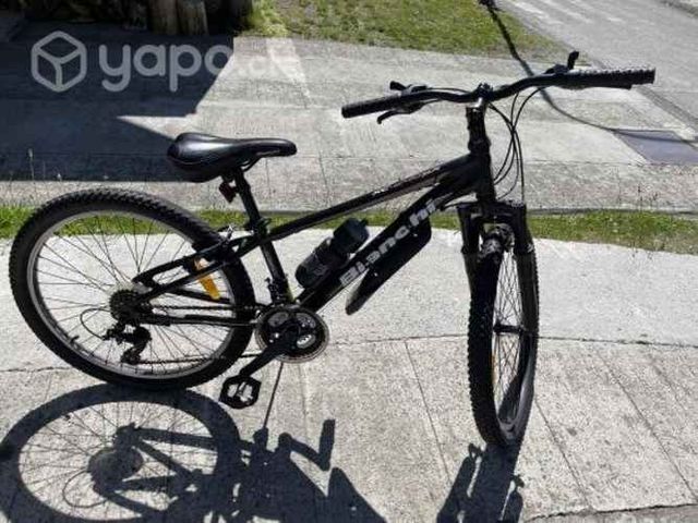 Bicicleta Bianchi Aluminio Aro 24