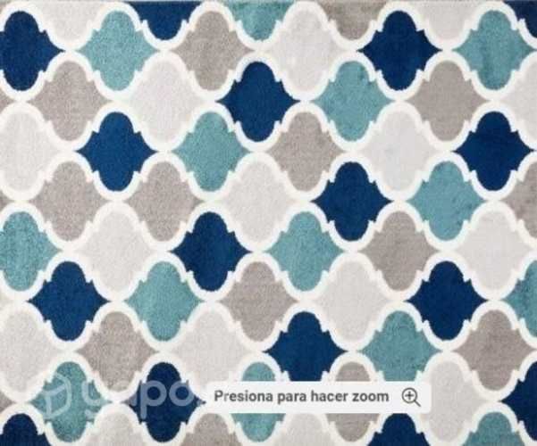 Hermosa y gran alfombra