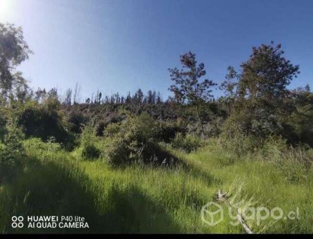 Terreno en Galvarino