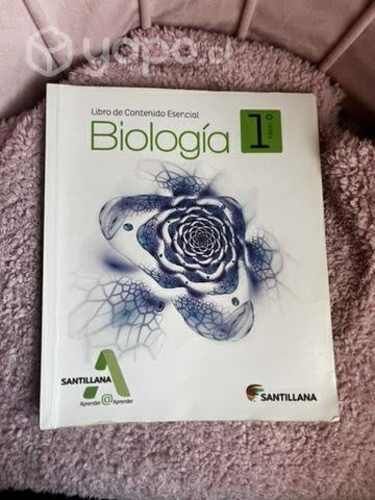 Libros Santillana