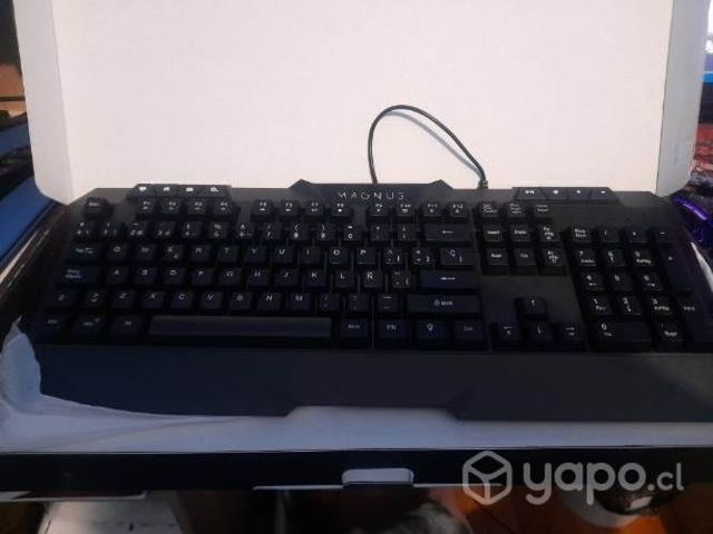 Teclado con iluminación modificable
