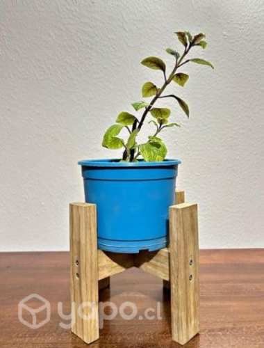 Pedestal porta macetero jardin o hogar