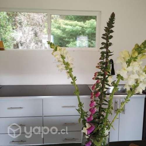 Departamento para relajarte y soñar