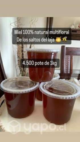 Miel 100% multifloral de los saltos del laja