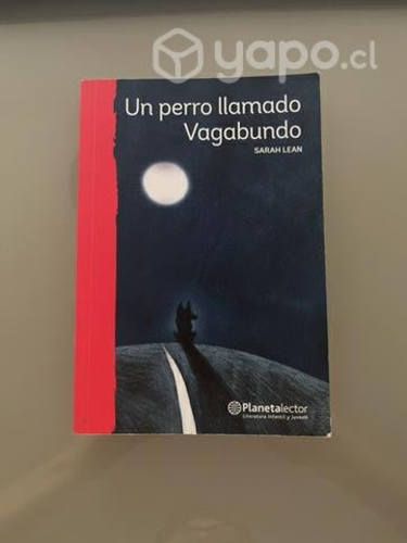 Un perro llamado vagabundo