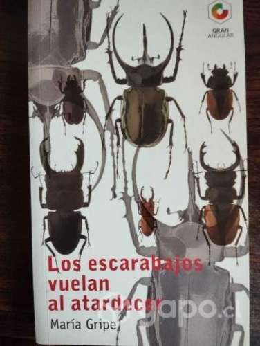 Los escarabajos vuelan al atardecer