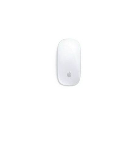 Magic Mouse 1