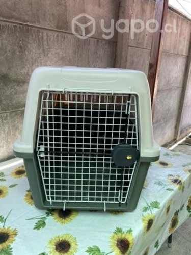 Canil de perro hasta 50 kg, perro mediano.