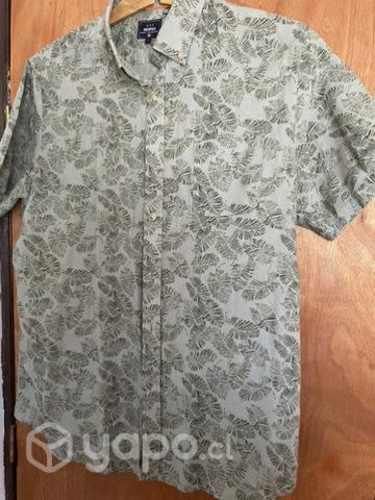 Camisa/ Guayabera Greenfield