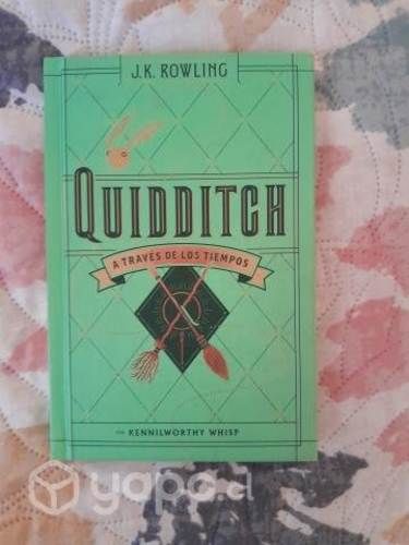 Quidditch a través de los tiempos, Harry Potter