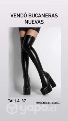 Bucaneras nuevas