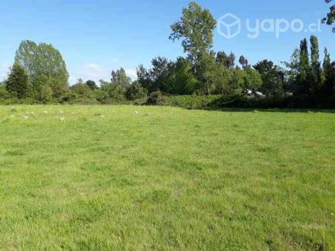 Vendo parcela de 5000 m2