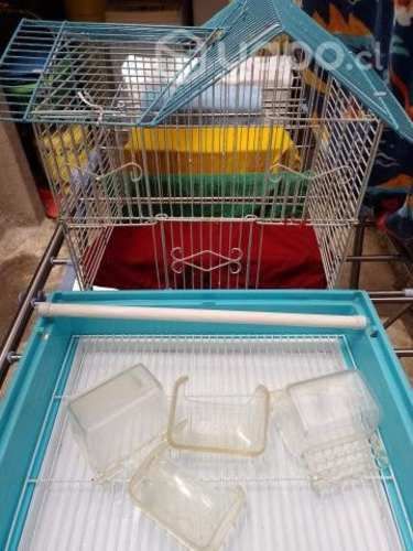 Jaula Periquitos, canarios, diamantes