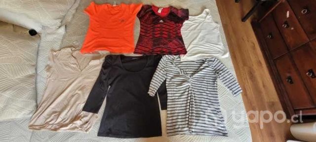 Lote de blusas y poleras