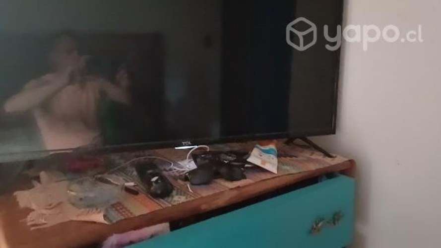 Smart tv tcl 30 pulgadas