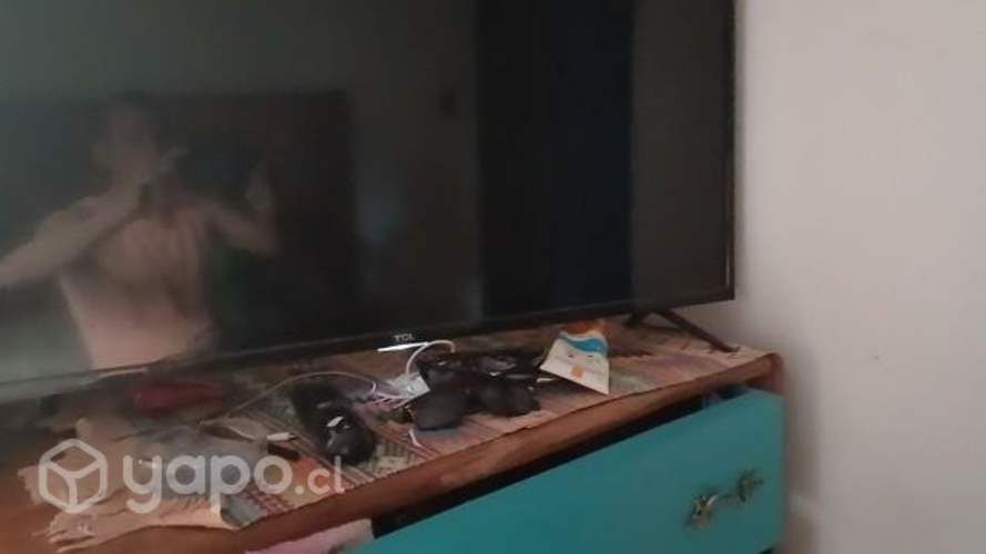 Smart tv tcl 30 pulgadas