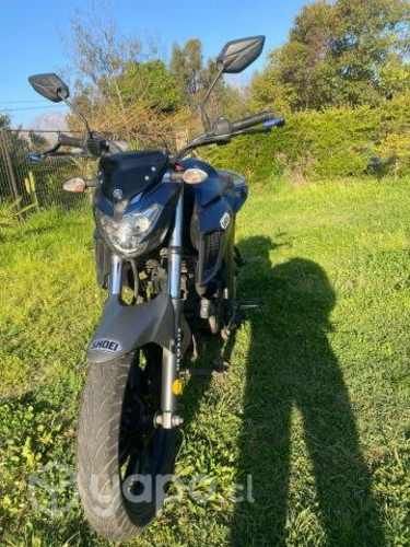 Yamaha fz 250