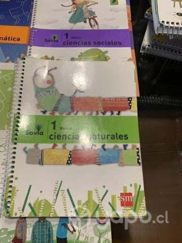 Lectura complementaria y textos escolares