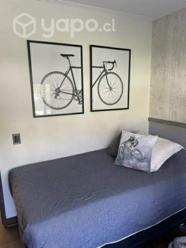 Par de cuadros bicicleta