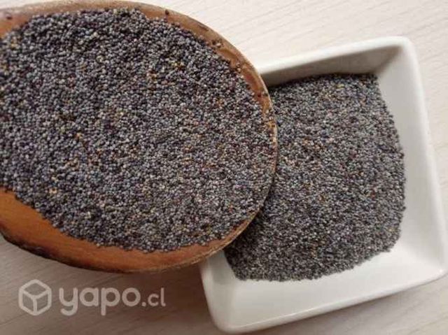 Oferto Semillas de Amapola Azul 4.900kl