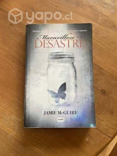 Maravilloso desastre