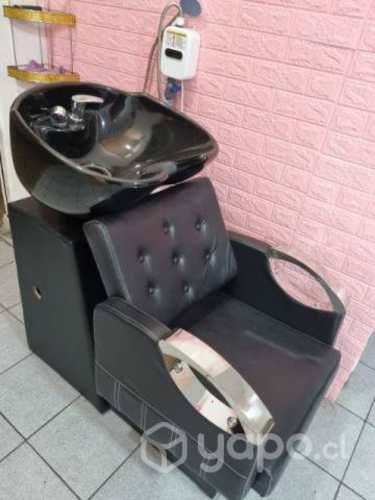 Lavapelos profesional