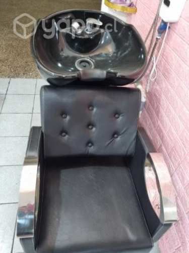 Lavapelos profesional