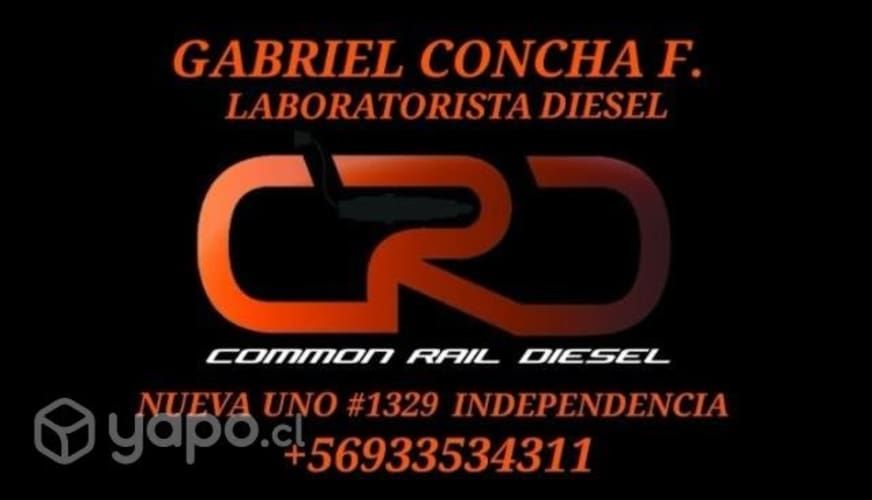 Inyectores ssangyong euro5 (recambios)