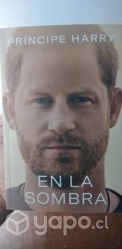 Libro original En la Sombra