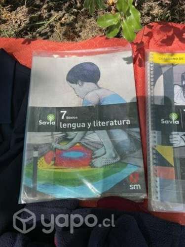 Textos escolares savia 7 básico