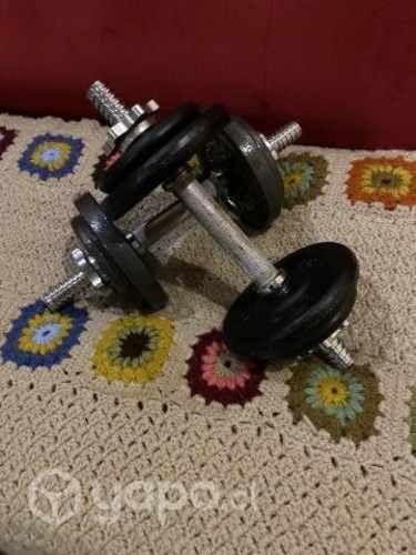 Dos mancuernas de 6 Kg