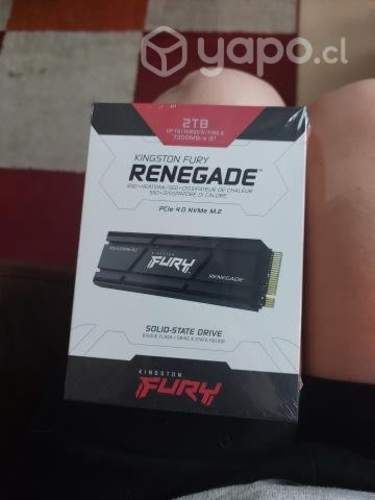SSD Kingston fury RENEGADE 2TB