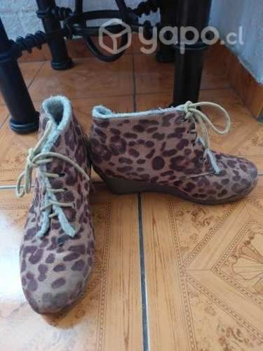 Botines animal printt con chiporro (37)