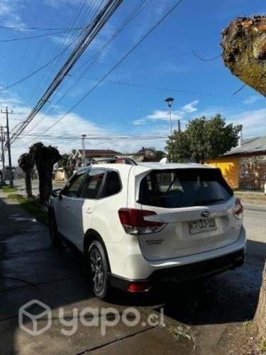 Vendo Forester 2019